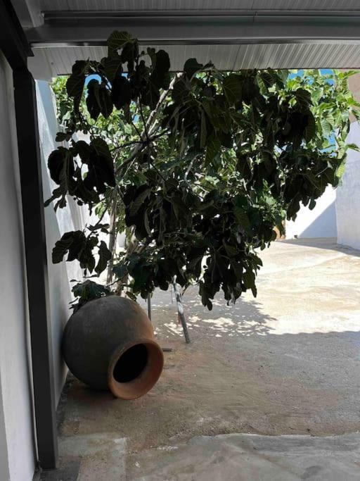 Agradable Casa Con Chimenea Interior Y Barbacoa. Villa Graja de Iniesta Exterior foto